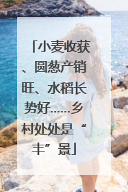 小麦收获、圆葱产销旺、水稻长势好……乡村处处是“丰”景